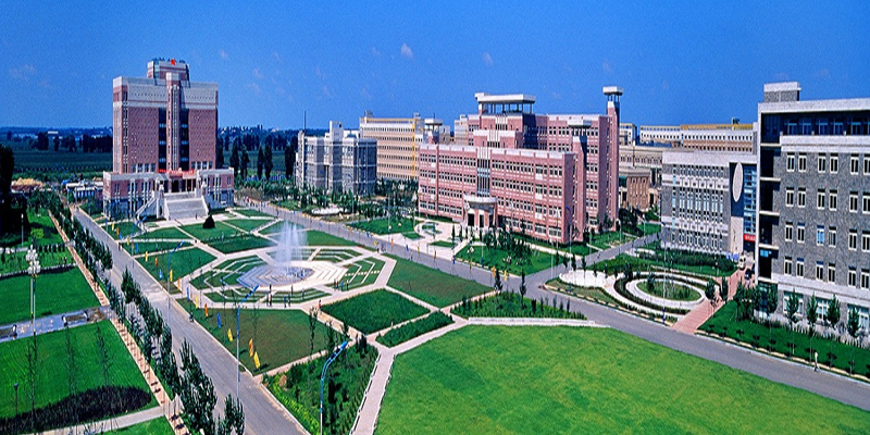 高校